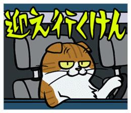Hakata dialect cats sticker #6712157