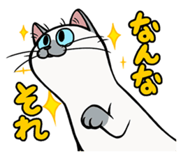 Hakata dialect cats sticker #6712158