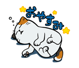 Hakata dialect cats sticker #6712160