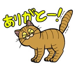 Hakata dialect cats sticker #6712166