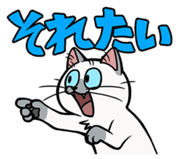 Hakata dialect cats sticker #6712167