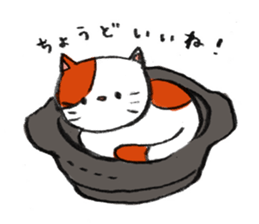 The tabby cat Butch. sticker #6712252