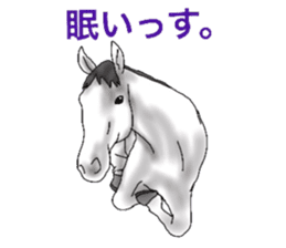 Sticker of horse lovers 3 sticker #6714589