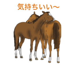 Sticker of horse lovers 3 sticker #6714590