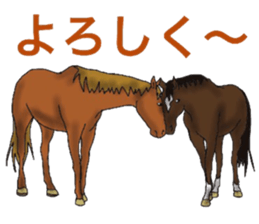 Sticker of horse lovers 3 sticker #6714605