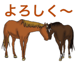 Sticker of horse lovers 3 sticker #6714605