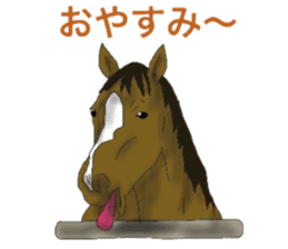 Sticker of horse lovers 3 sticker #6714606