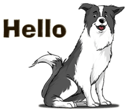 Pocket K-9: Sheep Dog + English sticker #6715488