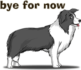 Pocket K-9: Sheep Dog + English sticker #6715490