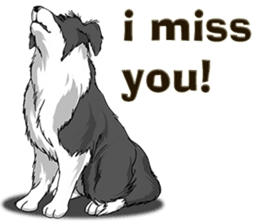 Pocket K-9: Sheep Dog + English sticker #6715491