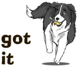 Pocket K-9: Sheep Dog + English sticker #6715494