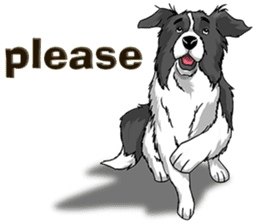 Pocket K-9: Sheep Dog + English sticker #6715506
