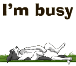 Pocket K-9: Sheep Dog + English sticker #6715522