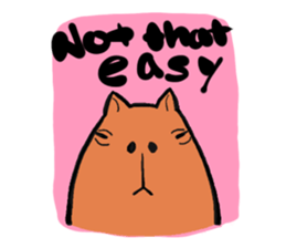 Capybara and friends English ver. sticker #6715888