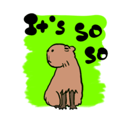 Capybara and friends English ver. sticker #6715889