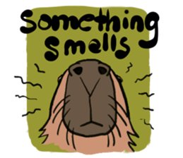 Capybara and friends English ver. sticker #6715891