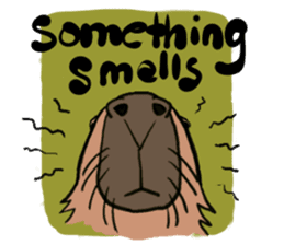Capybara and friends English ver. sticker #6715891