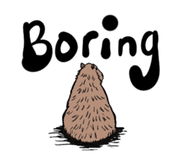 Capybara and friends English ver. sticker #6715892