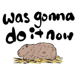 Capybara and friends English ver. sticker #6715894