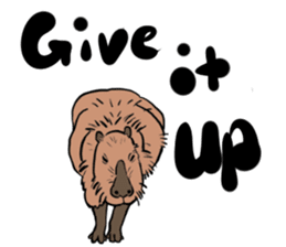 Capybara and friends English ver. sticker #6715895