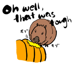 Capybara and friends English ver. sticker #6715901