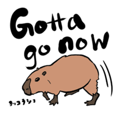 Capybara and friends English ver. sticker #6715902