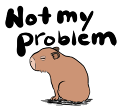 Capybara and friends English ver. sticker #6715906