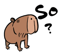 Capybara and friends English ver. sticker #6715913