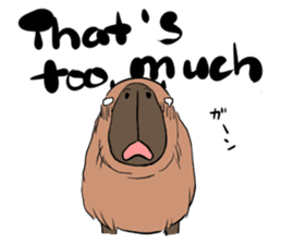 Capybara and friends English ver. sticker #6715917