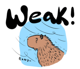 Capybara and friends English ver. sticker #6715919