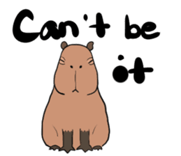 Capybara and friends English ver. sticker #6715924