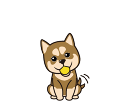 Japanese Shiba Inu 2  English version sticker #6716422