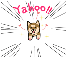 Japanese Shiba Inu 2  English version sticker #6716437