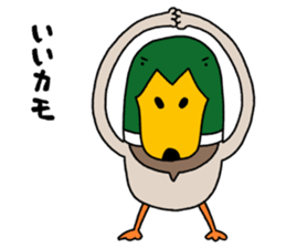 It might a mallard. sticker #6716969