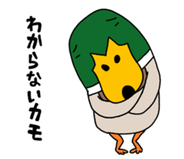 It might a mallard. sticker #6716972