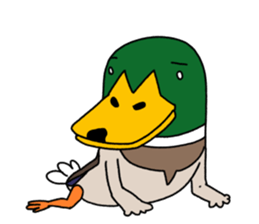 It might a mallard. sticker #6716986