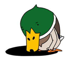 It might a mallard. sticker #6716989