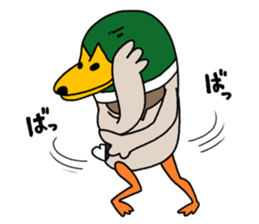 It might a mallard. sticker #6716992