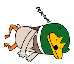 It might a mallard. sticker #6717003