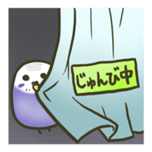 Relaxed parakeet 2 sticker #6718104