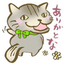 Cats to say thanks! sticker #6720121