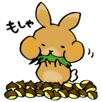Maron Tochigi rabbit 002 sticker #6720538