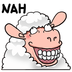 Yanda odd sheep