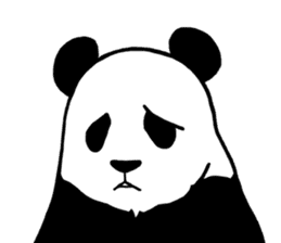 Panda Panda Panda3 sticker #6726769