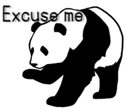 Panda Panda Panda3 sticker #6726770