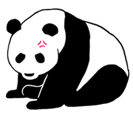 Panda Panda Panda3 sticker #6726787