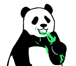 Panda Panda Panda3 sticker #6726790