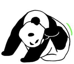 Panda Panda Panda3 sticker #6726798