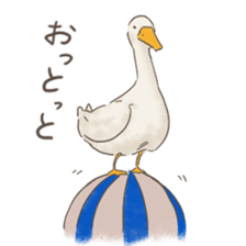 Funny Ducks 3rd sticker #6727571