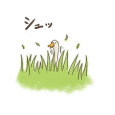 Funny Ducks 3rd sticker #6727572